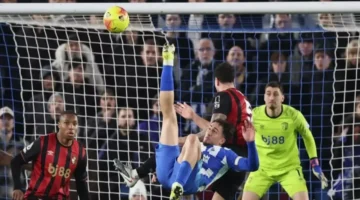 أكروباتية كوستولاس.. هدف قاتل يمنح برايتون تعادلاً مثيراً في اللحظات الأخيرة